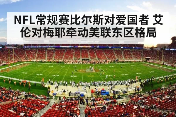 american football stadium crowd